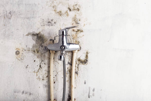 Best Mold Testing  in Chickamau, GA
