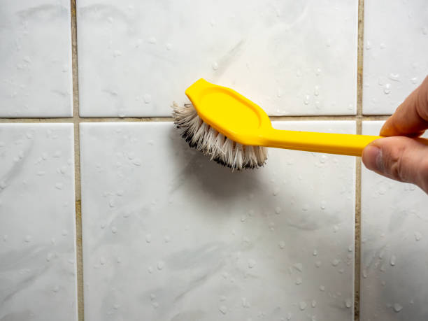 Professional Mold Removal in Chickamauga, GA