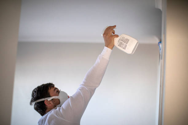 Best Certified Mold Removal  in Chickamau, GA