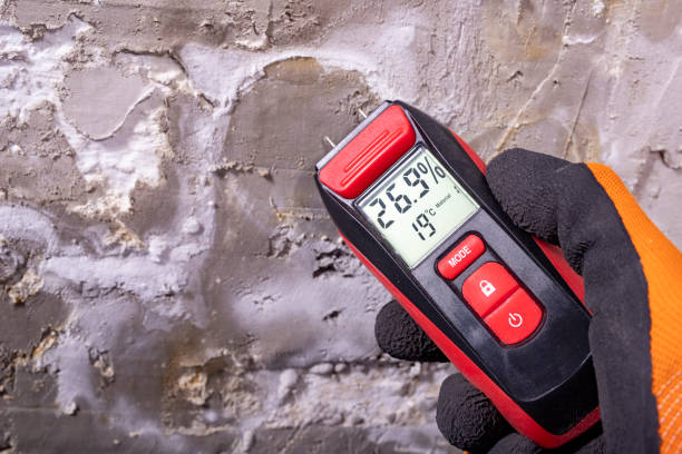 Mold Testing and Removal in Chickamauga, GA